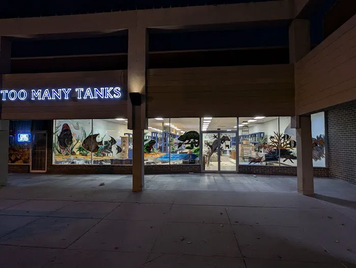 Too Many Tanks 12