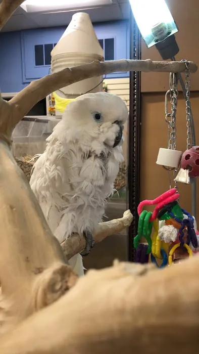 Pets R Us 12