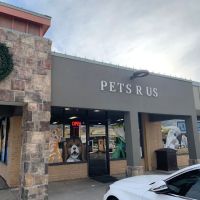 Pets R Us ico