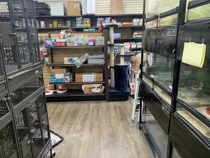 Pets R Us 12
