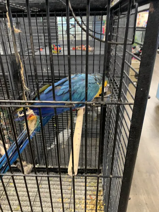 Pets R Us 12