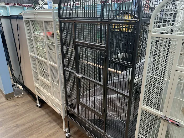 Pets R Us 12