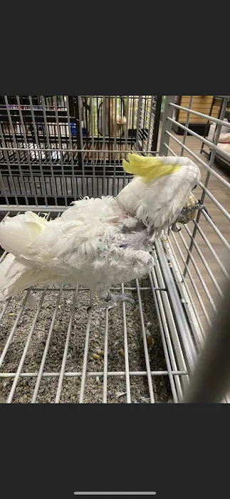 Pets R Us 12