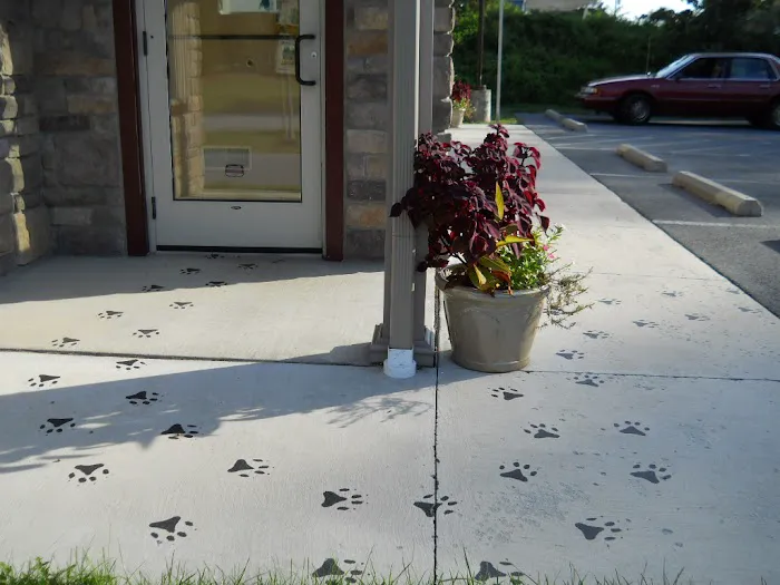 Holly Pike Animal Hospital 12