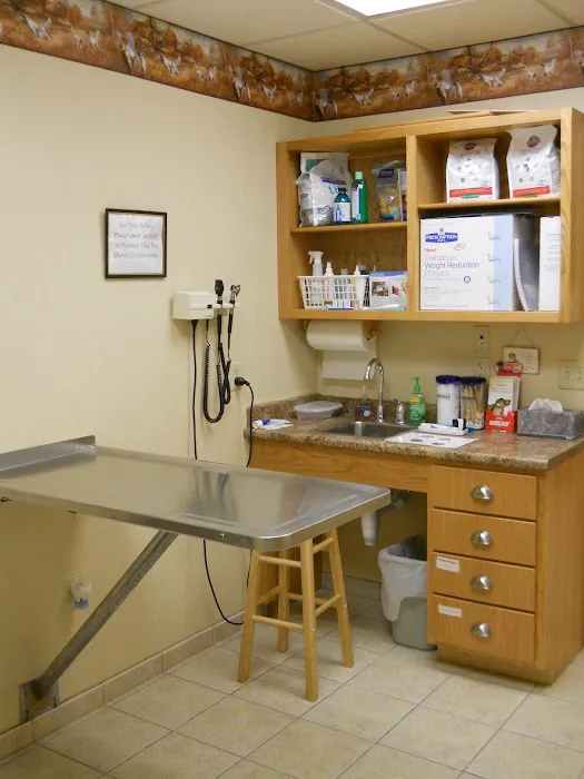 Holly Pike Animal Hospital 12