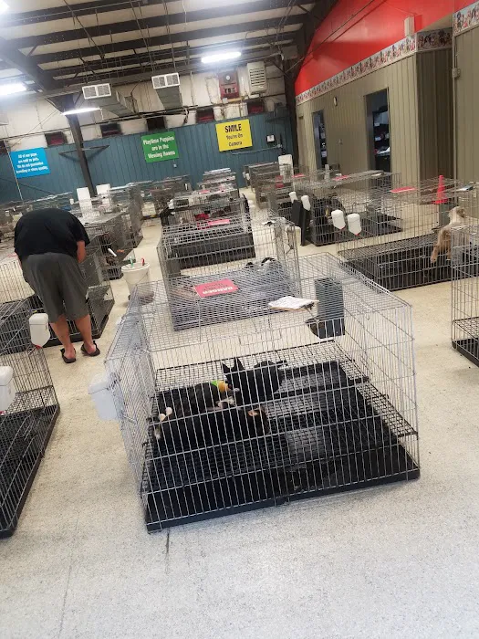 Tully's Kennels 12
