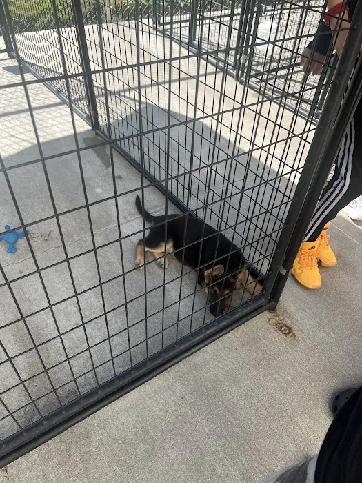 Tully's Kennels 12