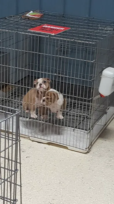 Tully's Kennels 12