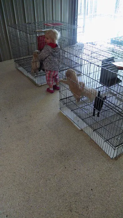 Tully's Kennels 12