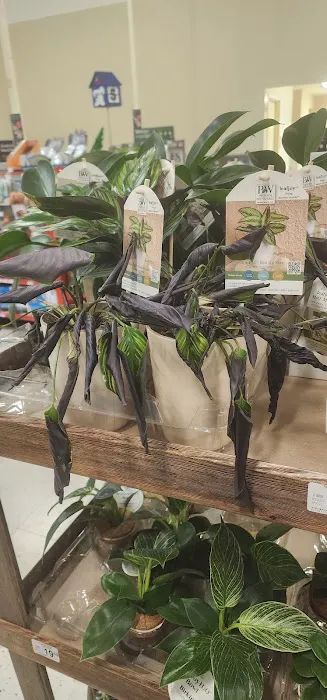 Petco 2