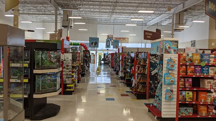 Petco 1