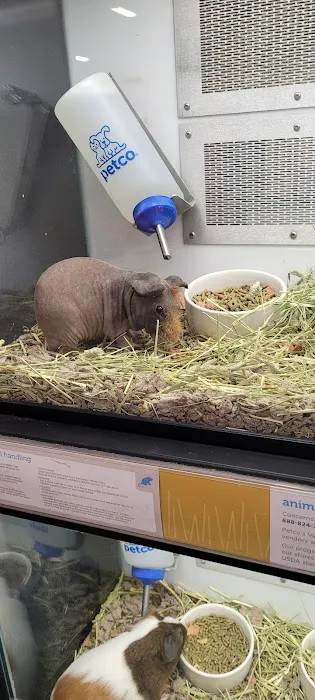 Petco 3