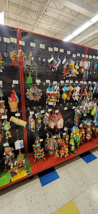 Petco 5