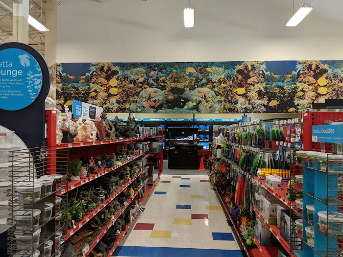 Petco 7