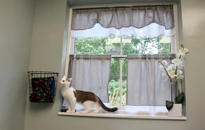Healing Paws Veterinary Care 12