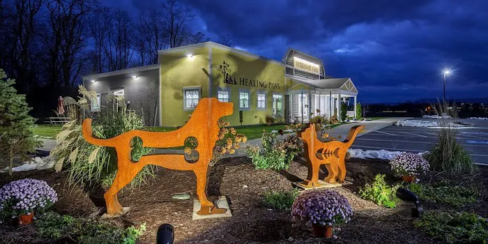 Healing Paws Veterinary Care 12