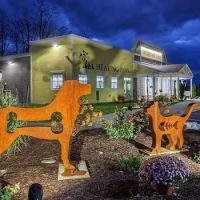 Healing Paws Veterinary Care ico