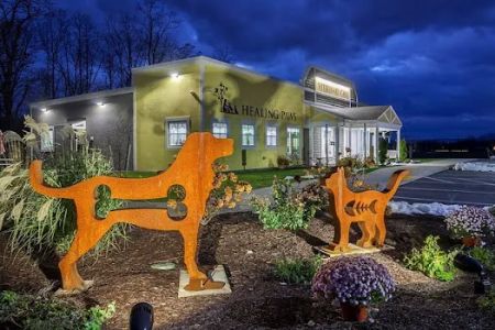 Healing Paws Veterinary Care