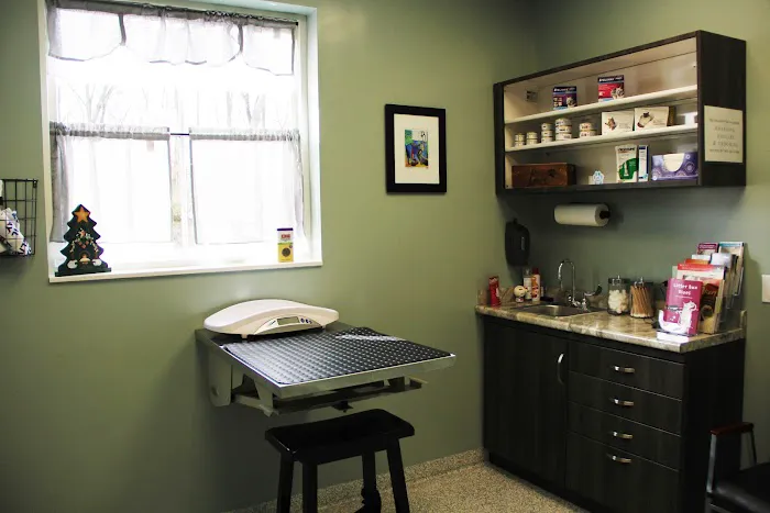 Healing Paws Veterinary Care 12