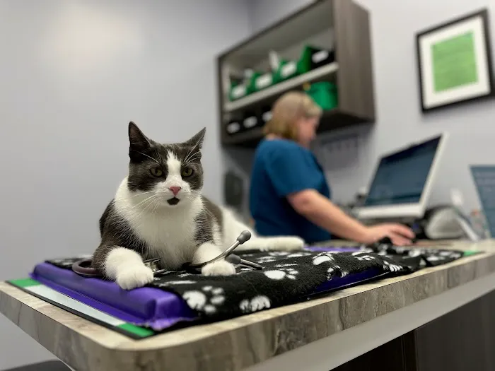 Healing Paws Veterinary Care 12