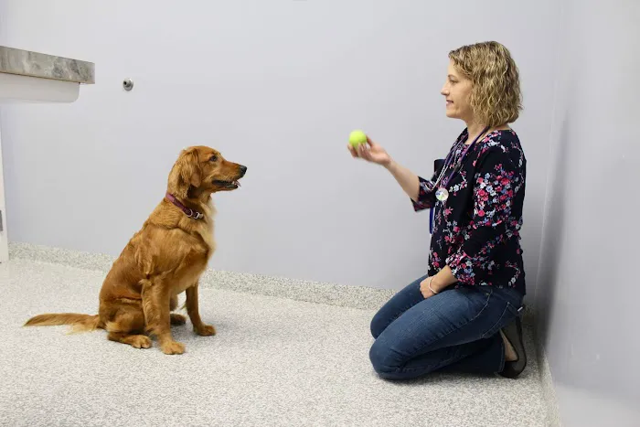 Healing Paws Veterinary Care 12