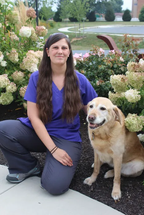 Healing Paws Veterinary Care 12