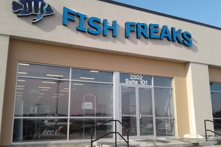 Fish Freaks