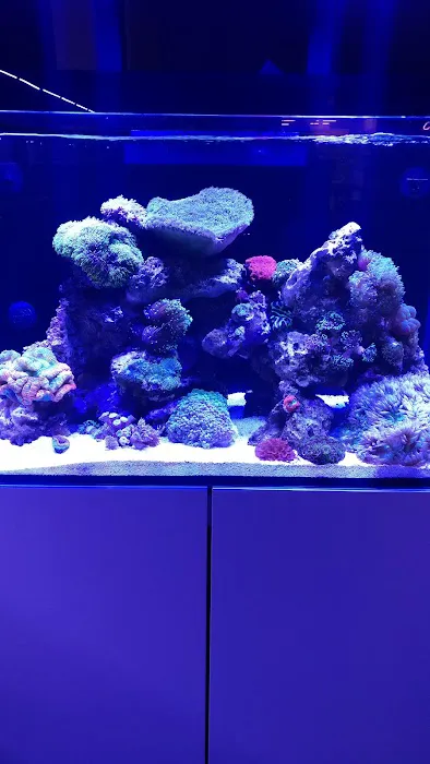 Fish Freaks 12