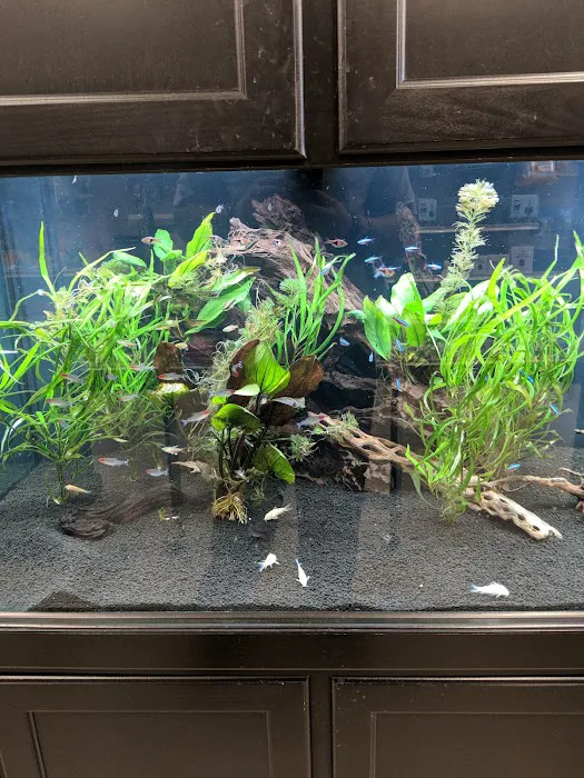 Fish Freaks 12
