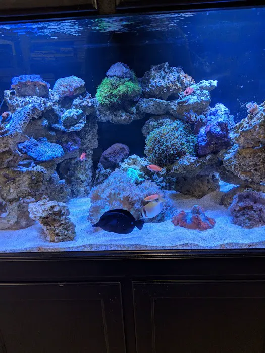 Fish Freaks 12