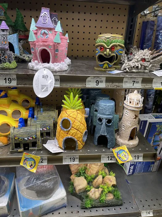 Petco 12