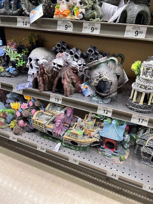 Petco 12