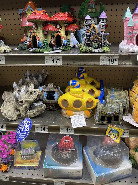 Petco 12