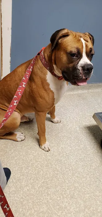Columbia Animal Hospital 12