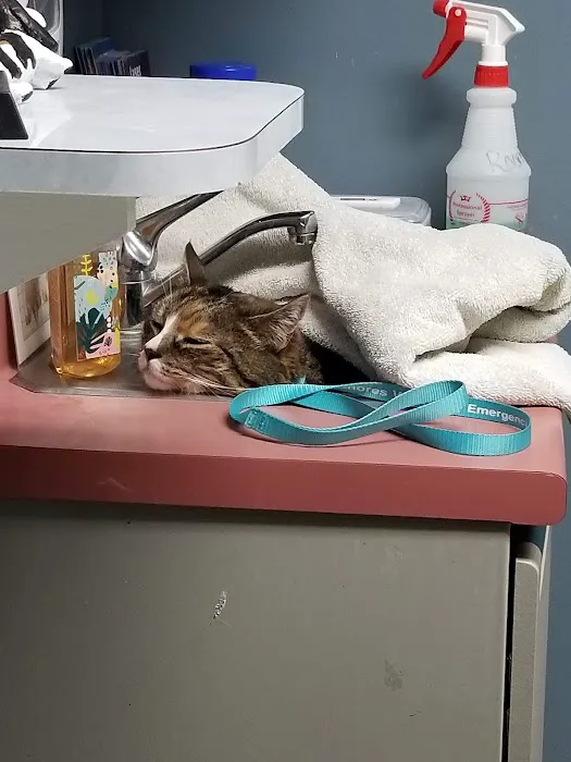 Columbia Animal Hospital 12