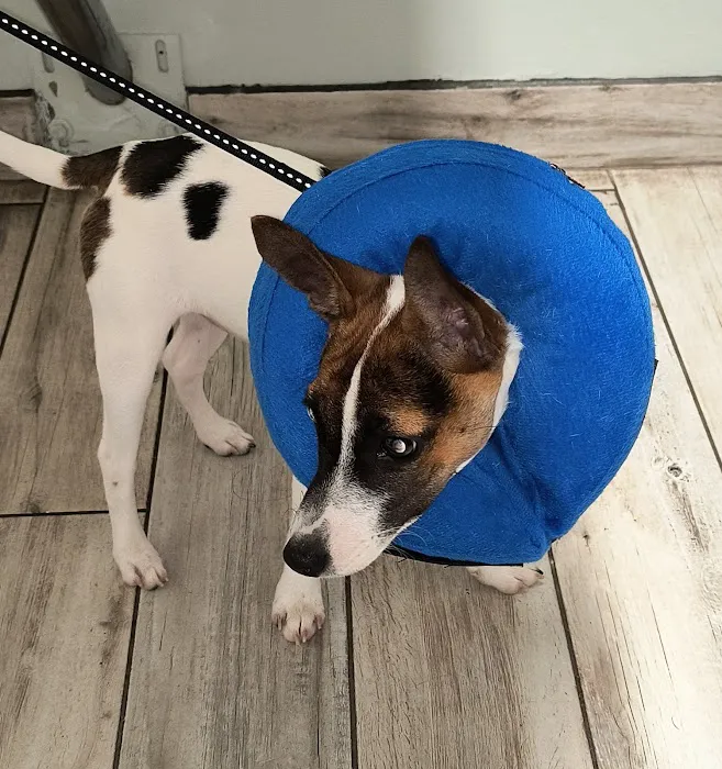 Columbia Animal Hospital 12