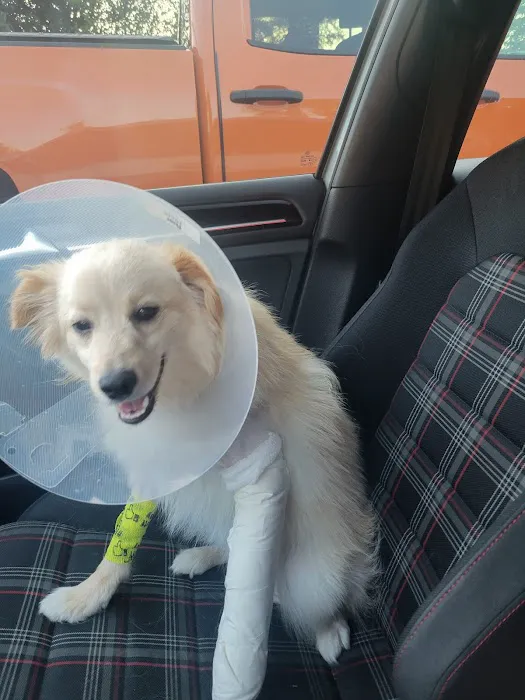 Columbia Animal Hospital 12