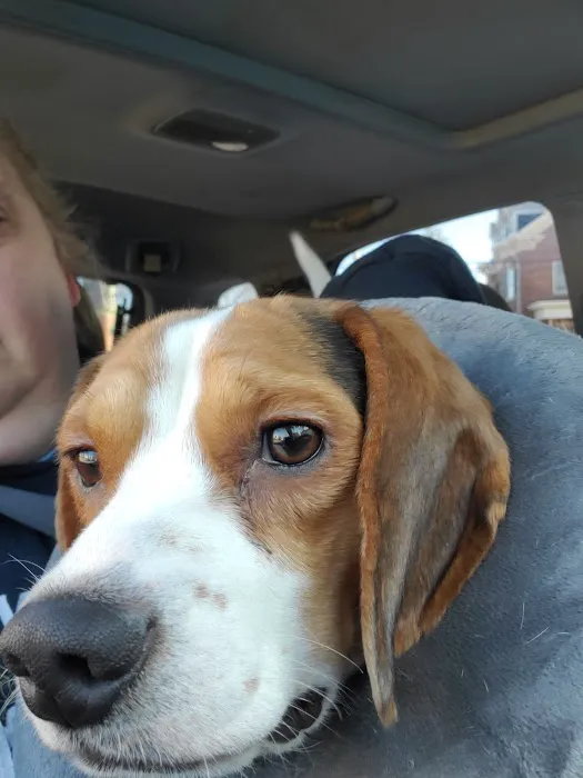 Columbia Animal Hospital 12