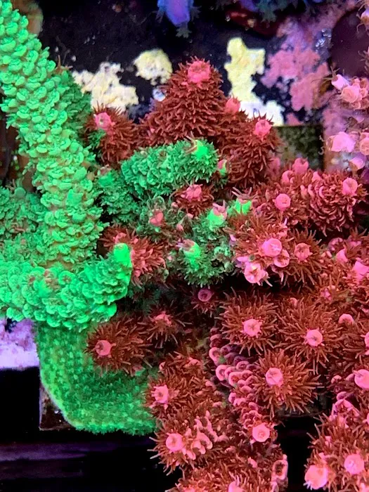 Omaha Aquaculture 12