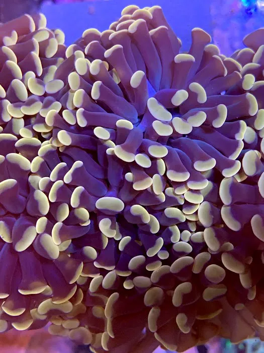 Omaha Aquaculture 12