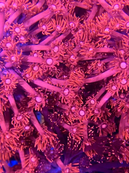 Omaha Aquaculture 12