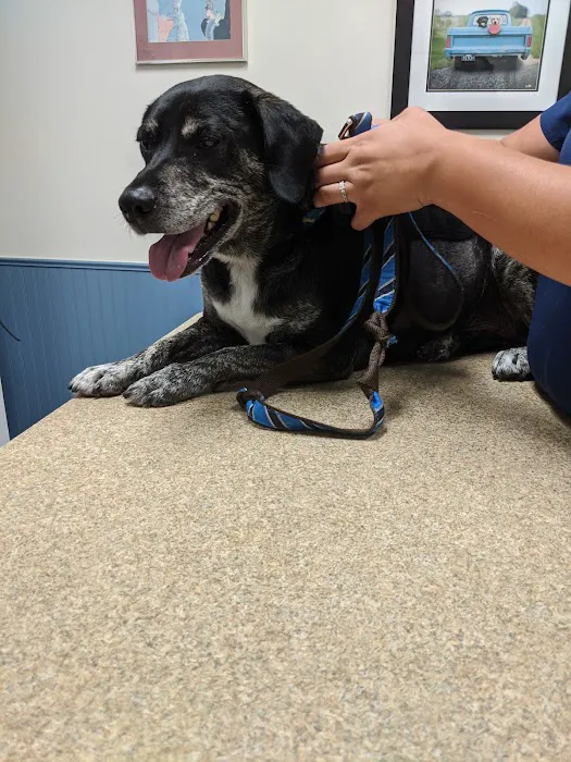 Hempfield Animal Hospital 12