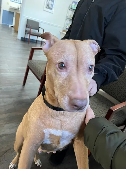 Hempfield Animal Hospital 12