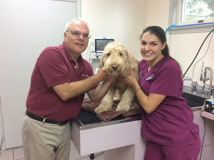 St Francis Animal Hospital 12