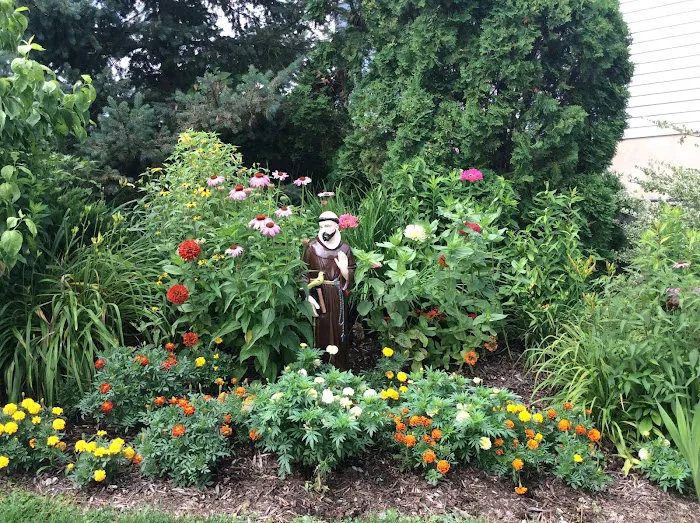 St Francis Animal Hospital 12