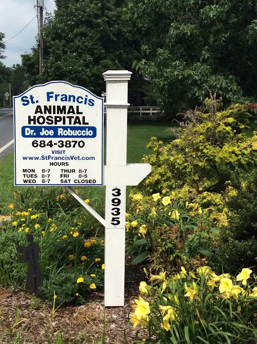 St Francis Animal Hospital 12