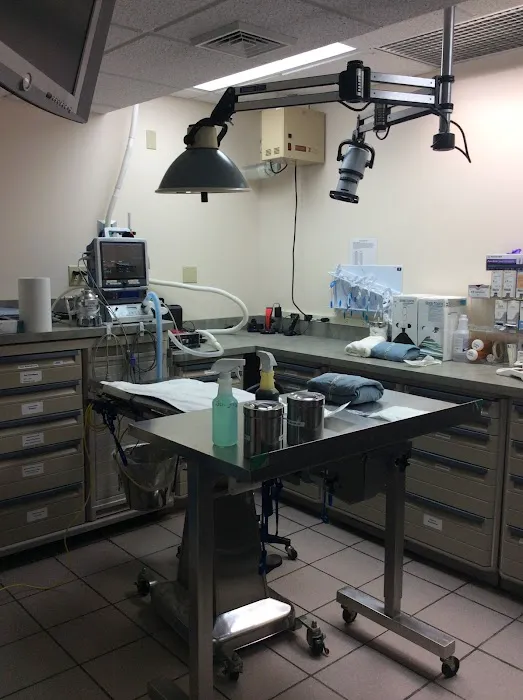 St Francis Animal Hospital 12