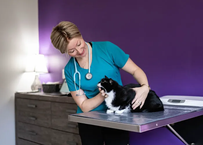 Healing Paws Animal Hospital 12