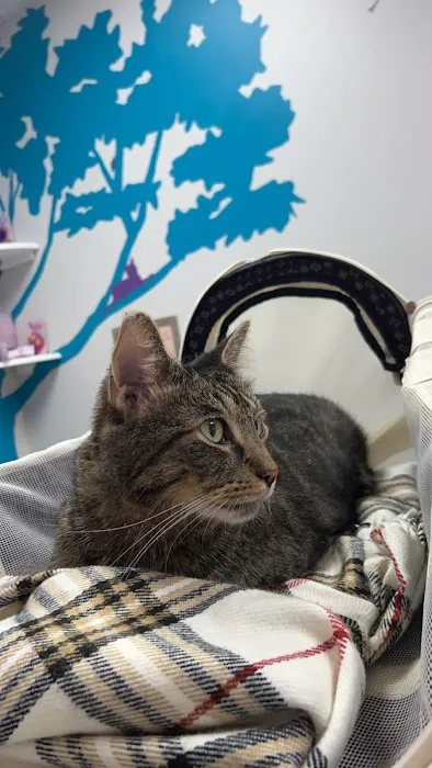 Healing Paws Animal Hospital 12