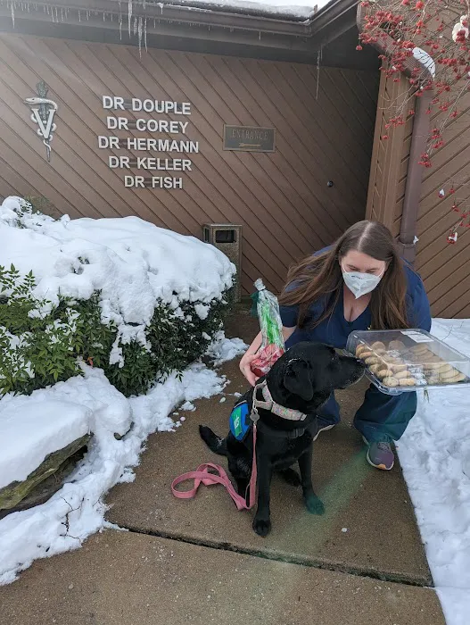Landisville Animal Hospital 12